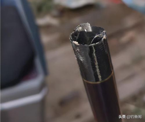鱼杆排名前十的品牌(十大便宜耐用的鱼竿)插图4