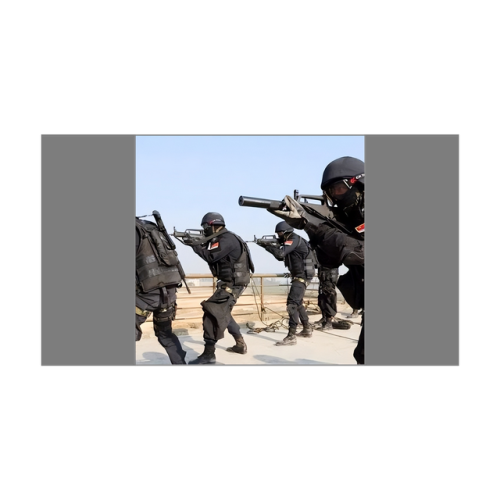中国特种兵排行榜(世界十大顶级特种部队)插图9