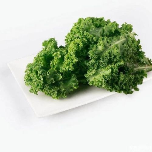 排名前十的疏菜(蔬菜排名第一)插图16