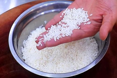 鱼中蛋白质含量排行榜(十大高蛋白海鲜排行榜)插图2