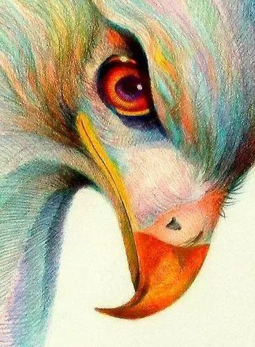 画纸排行榜(卫生纸十大名牌排行榜)插图15
