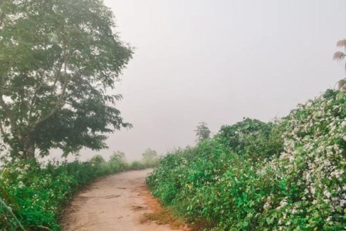晚清文学大师排名前十(世界100位文学大师排行榜)插图4