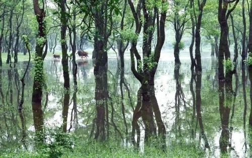 江西怀旧景区排名前十(江西五a景区有哪些)插图61