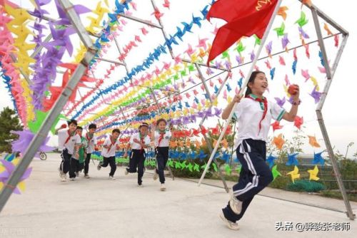 建安区小学排名前十(许昌私立小学排名一览表最新)插图