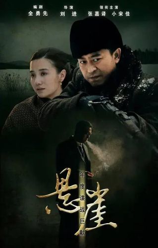 特工碟战电视剧排行榜(经典二十部谍战电视剧)插图4