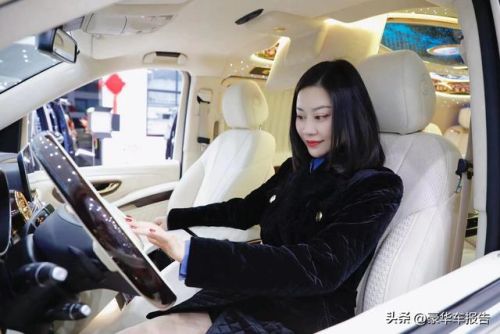 世界豪华商务车排行榜(最舒适的商务车排名)插图4