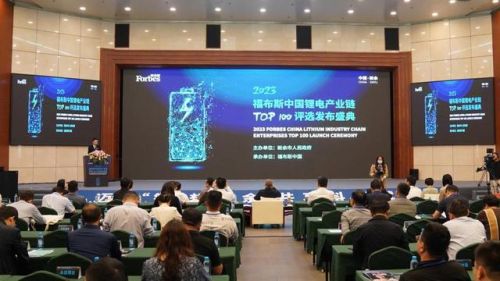 2022锂电公司排名前十(中国锂电十强)插图
