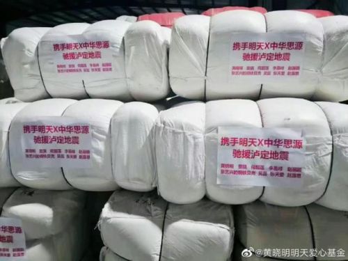 四川地震明星捐款排行榜(汶川地震捐款一亿的人)插图3