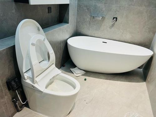 智能马桶排行榜前十名(2023口碑最好的智能马桶品牌)插图4