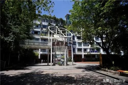 新武侯区小学排名前十(成都青羊区小学排名最新更新)插图6