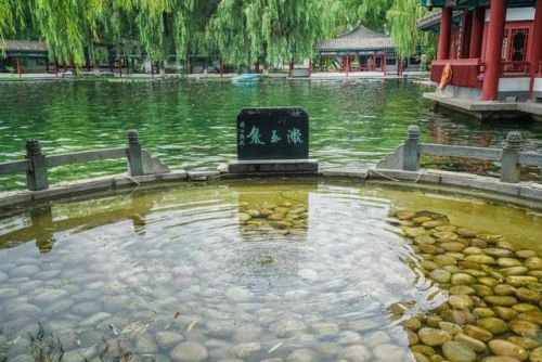晚清文学大师排名前十(世界100位文学大师排行榜)插图3