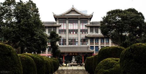 全国十大武校排行榜(全国文武学校排名第一)