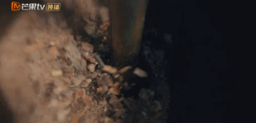 做饭排行榜(炒菜排行榜前十名)插图10 做饭排行榜(炒菜排行榜前十名)插图10