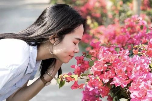 深圳好玩瀑布排名前十(深圳适合一日游的景点推荐)插图81