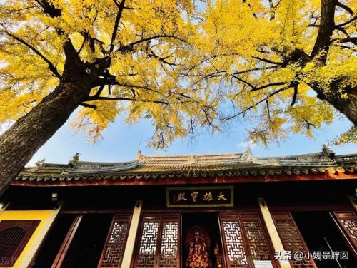 苏州寺庙古迹排名前十(苏州文殊寺)插图19