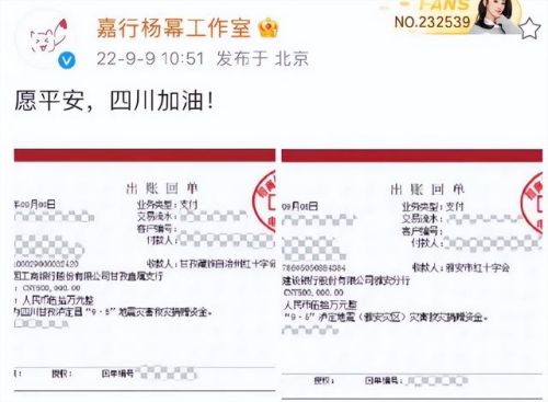 四川地震明星捐款排行榜(汶川地震捐款一亿的人)插图11