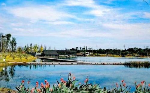 成都冷门景点排名前十(成都哪里好玩的景点)插图18