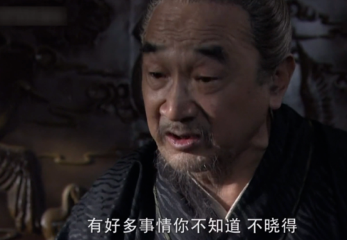古代电视剧排行榜(十大必看历史剧)插图40