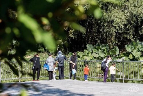 深圳好玩瀑布排名前十(深圳适合一日游的景点推荐)插图59