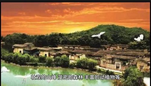 赣州好玩的地方排行榜(赣州旅游必去十大景点介绍)插图20
