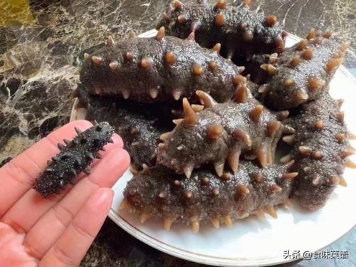 威海美食海参排名前十(威海特色高档餐厅排名)插图