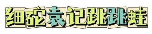 岳麓山小众餐厅排名前十(长沙岳麓区高档餐厅)插图9
