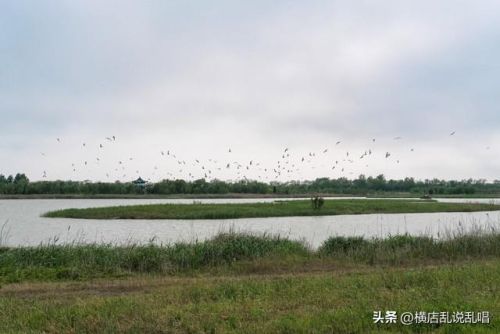 射阳小区人口排名前十(射阳最贵的小区)插图8