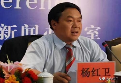 楚雄州首富排行榜(楚雄最大的老板)插图7