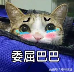 郑州饮品加盟店排行榜(全国奶茶十大排行榜)插图