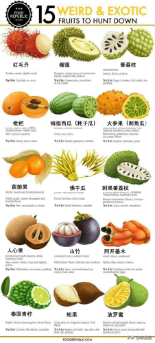 全球厨师图表排名前十(世界国家排名前十位的)