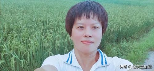 北京艾灸加盟店排行榜(艾灸加盟店最好的品牌)插图