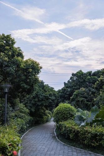 深圳好玩瀑布排名前十(深圳适合一日游的景点推荐)插图41
