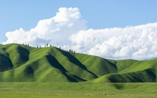 世界高峰排名前十图(世界十大高峰有几个是中国的)插图2