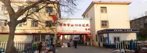 临漳大型医院排名前十(临漳乔志刚)插图5