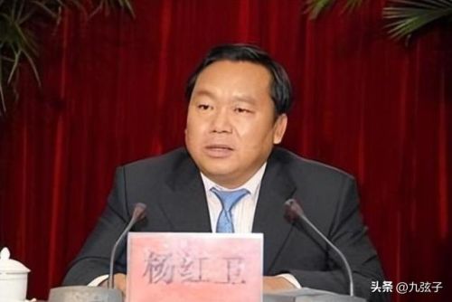 楚雄州首富排行榜(楚雄最大的老板)插图14