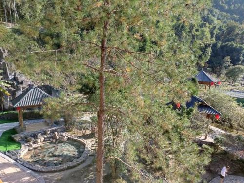 广州温泉排名推荐前十(广州附近温泉排行榜)插图63