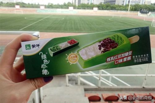 国内好吃的雪糕排行榜(国内雪糕品牌前十名)插图3