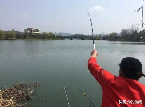 鱼杆排名前十的品牌(十大便宜耐用的鱼竿)插图5
