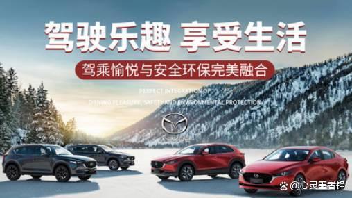 轿车安全系数排行榜(十大安全系数最高轿车)插图3