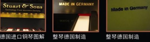 全球顶级风琴排名前十(世界顶级医院排名)插图13
