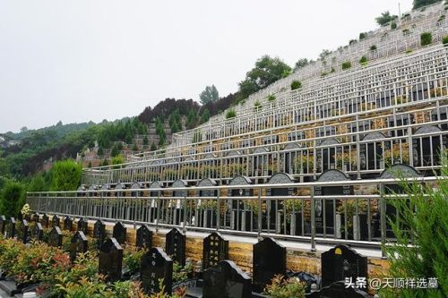陵园排行榜(北京墓地排行榜)插图1