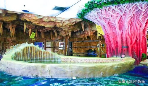全国上榜温泉排名前十(全国四大温泉)