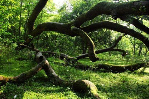 江西怀旧景区排名前十(江西五a景区有哪些)插图59