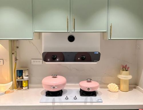 德国油烟机品牌排行榜(名牌抽油烟机有哪几种)