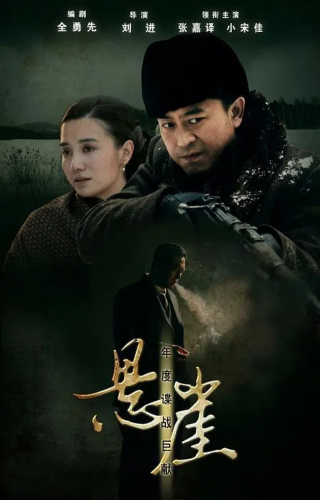 谍战剧排行榜豆瓣评分(评分9.0以上的谍战小说)插图1