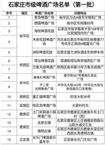 石家庄夜市排名前十(石家庄最繁华的小吃街)