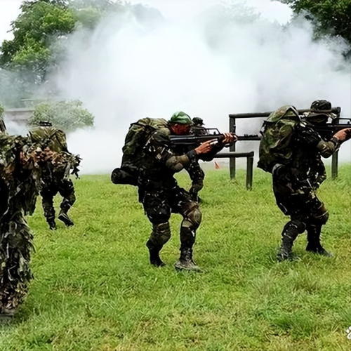 中国特种兵排行榜(世界十大顶级特种部队)插图5