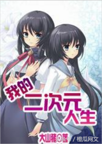 2次元小说排行榜(好口碑高质量的二次元小说)插图6