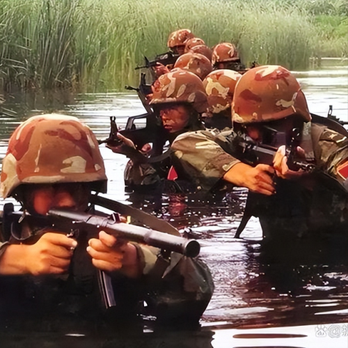 中国特种兵排行榜(世界十大顶级特种部队)插图3