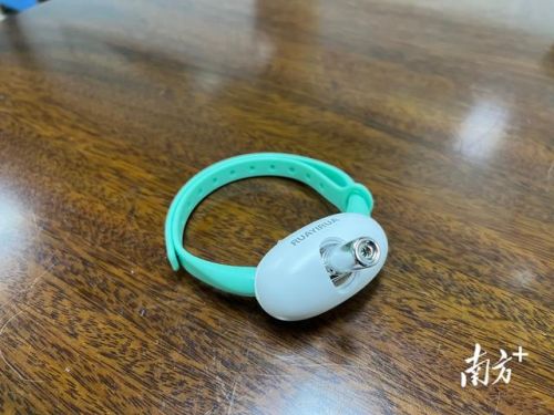 番禺养猫企业排名前十(广州番禺宠物市场在哪里)插图4